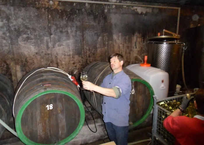 Gaestehaus Weingut - Froehliches Weinfass Hotel