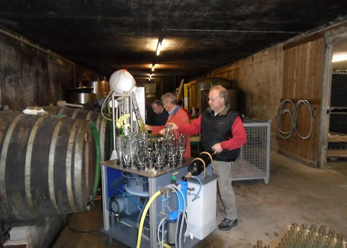 Hotel Gaestehaus Weingut - Froehliches Weinfass