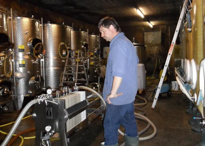 Hotel Gaestehaus Weingut - Froehliches Weinfass Kenn