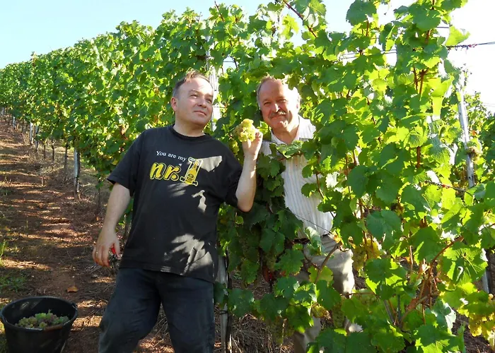 Gaestehaus Weingut - Froehliches Weinfass Hotel 3*